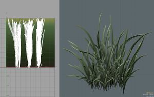 Grass final project unwrap.jpg