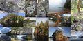 Trine 4 lakes and rivers reference photos by charlotta tiuri.jpg