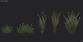 Grass and hay texturing wip 01.jpg